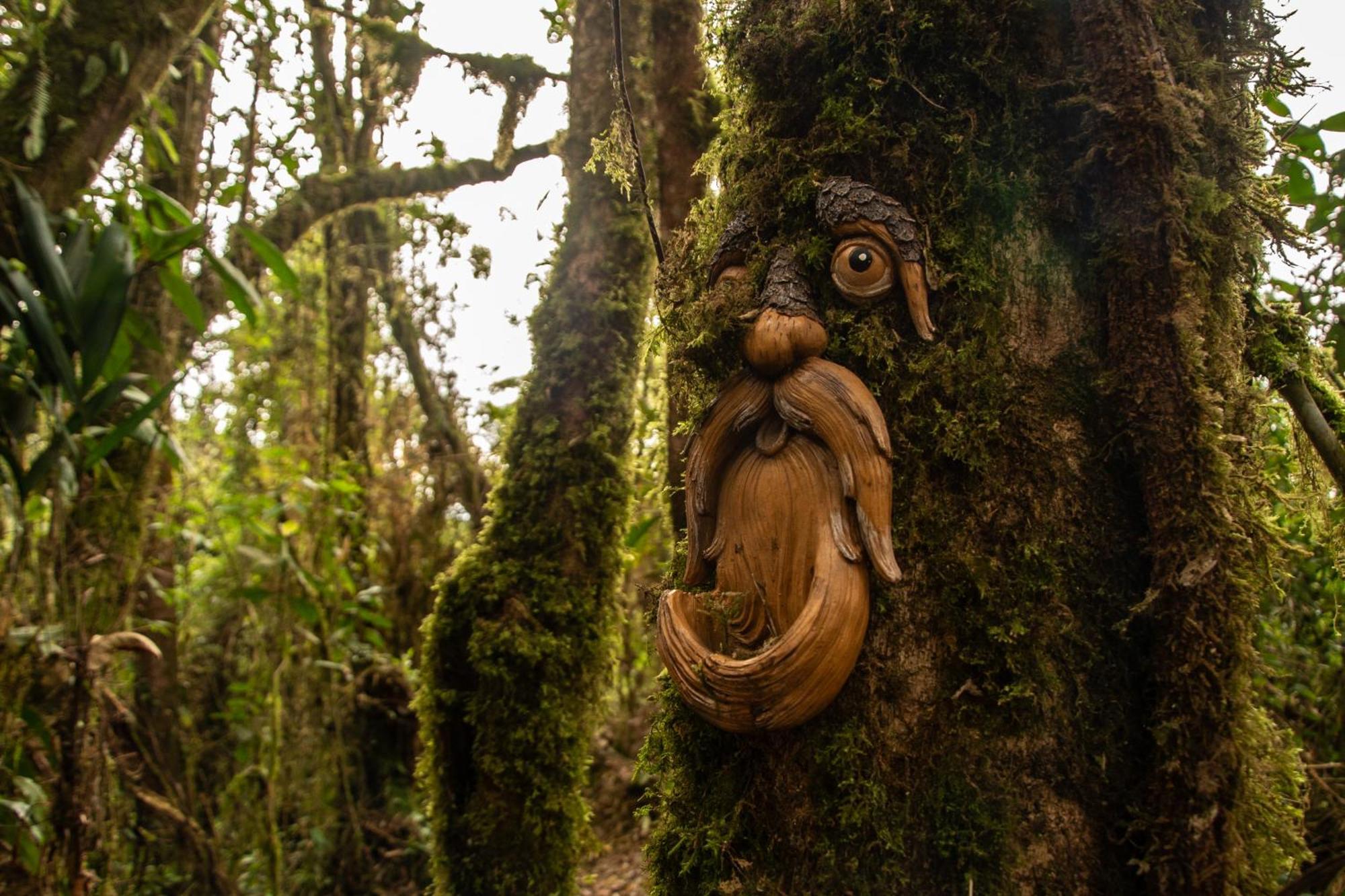 Owl'S Watch At Rio Blanco Vila Manizales Exterior foto