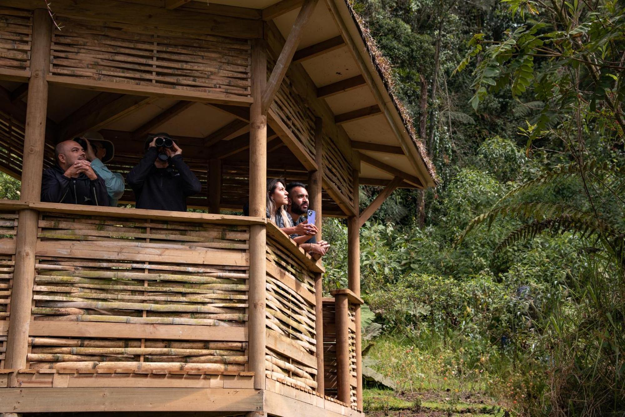 Owl'S Watch At Rio Blanco Vila Manizales Exterior foto