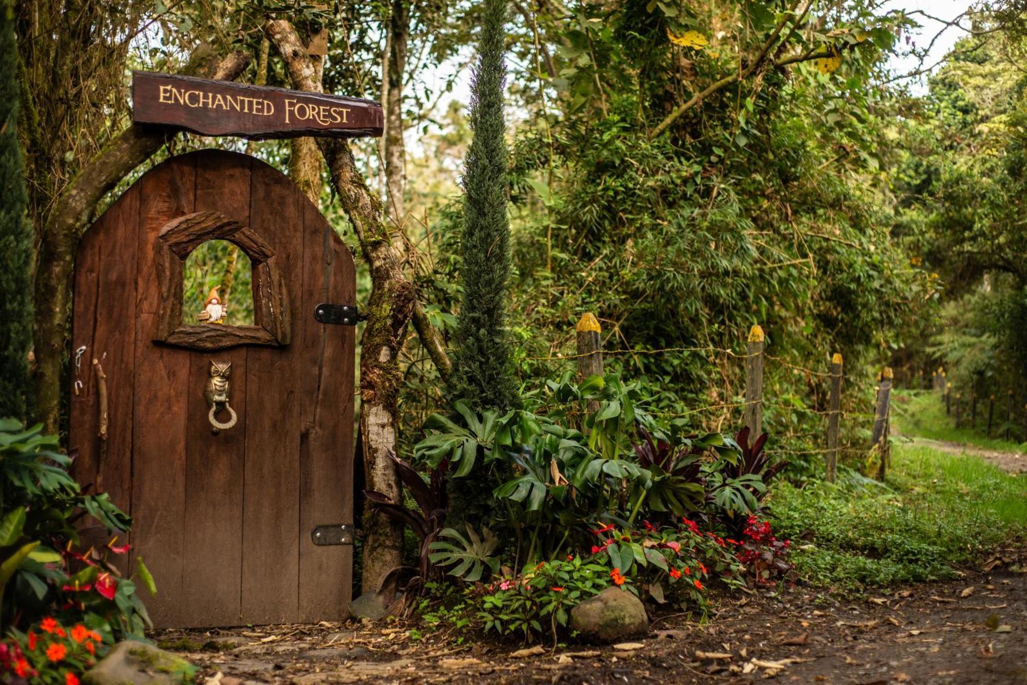 Owl'S Watch At Rio Blanco Vila Manizales Exterior foto